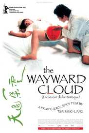 The Wayward Cloud poster